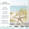 Nautical Crush Trading; Starfish Decor - Star Fish for Craft - 6pk Real 3-4" White Sea Stars - Beach Wedding Decor - Coastal Party Decorations - Seashell Decor; Category:Shells; Image:3